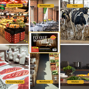 Trappole Adesive per Mosche in Cartone, Confezione da 10, Cattura Insetti Usa <span class=keywords><strong>e</strong></span> Getta per Casa, Cucina <span class=keywords><strong>e</strong></span> Ristorante - Product Image 5