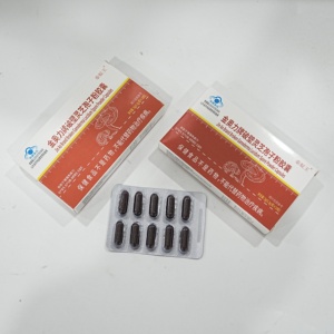 Cápsulas de Esporas de Ganoderma JinAoli, Fórmula para el Apoyo Inmunológico y Bienestar Diario, Suplemento Dietético Natural para Adultos - Product Image 3