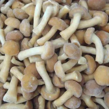유럽 표준 냉동 나메코 버섯 구매자