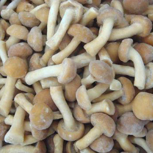 Seta cultivada estándar europea Nameko fresca entera IQF procesada y sazonada fuente saludable <span class=keywords><strong>Comprar</strong></span> ahora - Product Image 2