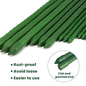 Piquets de <span class=keywords><strong>support</strong></span> pour plantes en acier et métal revêtus de plastique PE de <span class=keywords><strong>jardin</strong></span> durables Cage à tomates et <span class=keywords><strong>support</strong></span> pour plantes grimpantes - Product Image 5