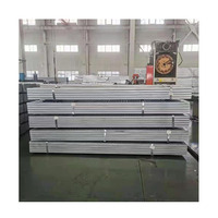 Soporte de Estructura Solar de Brazo Único para Montaje en Suelo, Sistema de Montaje para Granjas Solares Fotovoltaicas, Venta al por Mayor de Angels Solar