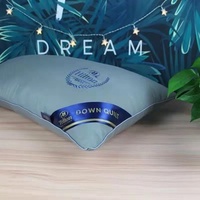 Taie d'oreiller d'aluminium Premium Double doublure, coussin en microfibre Polyester de 1000G 48x74cm avec sac à main