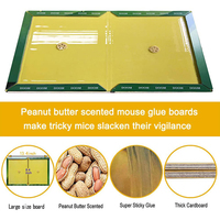 Piège à souris collant jetable Ye Lin YL-B-6, anti-fourmis et souris, avec parfum d'arachide, pour usage domestique