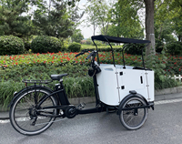 250W néerlandais cargo vélo bakfiets remorque vélo électrique vélo cargo tricycle trois roues chargement frontal boîte vélo de Chine