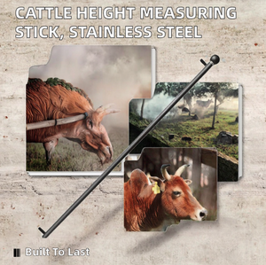 Righello per Misurare l'Altezza del Bestiame in Acciaio Inossidabile con Garanzia - Product Image 6