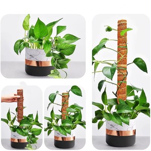 Poteau en fibre <span class=keywords><strong>de</strong></span> coco pour plantes grimpantes, support <span class=keywords><strong>de</strong></span> jardinage et extension <span class=keywords><strong>de</strong></span> croissance - Product Image 1