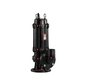 Stainless Steel <b>Submersible</b> <b>Pump</b> 220V Stainless Steel Dirty Water <b>Pump</b> Sewage Waste Water <b>Submersible</b> <b>Pump</b> Water Dirty - Product Image 1