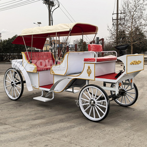 Calèche de Mariage Électrique Vintage ZOWN, 4 Roues, Blanc Pur, Couleur Personnalisable, Style Européen Tendance, 4-6 Personnes - Product Image 2