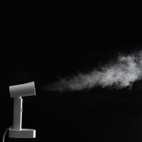 Vapeur portative à vapeur continue portative de 22g pour des vêtements tissu et des vêtements Mini taille électrique pour l'usage d'hôtel de ménage de bureau