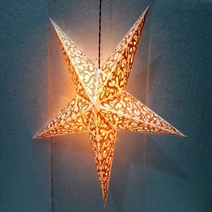 Lámparas/Linternas de Papel con Estampado de Flores en Forma de Estrella de 5 Puntas, 60 cm, Decoración Navideña, Marca LAXMANS, Venta al Por Mayor, Exportación a Granel - Product Image 1