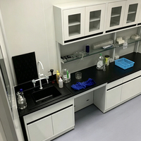 Table d'expérimentation murale avec armoire latérale suspendue et rangement intégré pour laboratoire