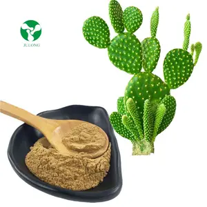 Hochwertiger Pflanzen extrakt Kaktus Lebensmittel qualität Opuntia Ficus Indica Kaktus extrakt Pulver