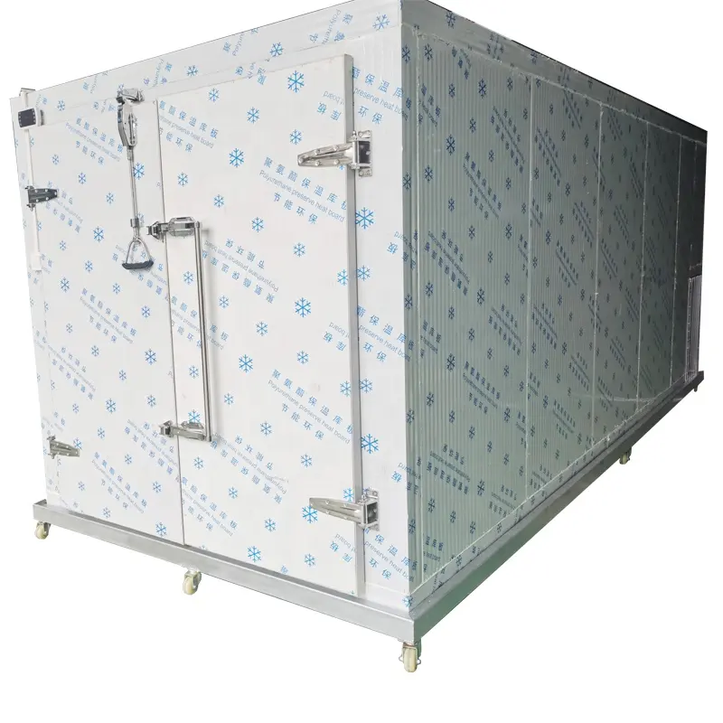 Congelador profundo portátil, almacenamiento en frío, 5 toneladas, 20 pies