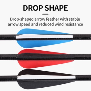 Frecce in Fibra di Vetro Arrotolata da 31 Pollici per Tiro con l'<span class=keywords><strong>Arco</strong></span>, ID 6.2mm, 30-55 Libbre, per <span class=keywords><strong>Arco</strong></span> Compound e Ricurvo, Punte Avvitabili per Pratica di Tiro e Caccia - Product Image 4