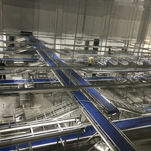 Chaîne <span class=keywords><strong>de</strong></span> convoyage à rouleaux automatique <span class=keywords><strong>en</strong></span> acier inoxydable <span class=keywords><strong>de</strong></span> qualité supérieure pour la production et l'emballage hygiéniques, vente <span class=keywords><strong>en</strong></span> gros directe usine - Product Image 4