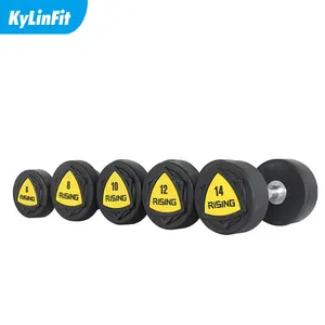 Kylinfit Gym Apparatuur Ronde Pro Stijl Workout Dumbles Halter Set Prijzen Gewichten Halters Voor Gym