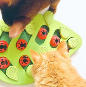Vente en gros Mangeoire automatique de haute qualité pour animaux de compagnie Jouet pour chien qui fuit Jouet de formation pour chat Casse-tête Intelligence Jouet pour garder l'animal occupé - Product Image 5