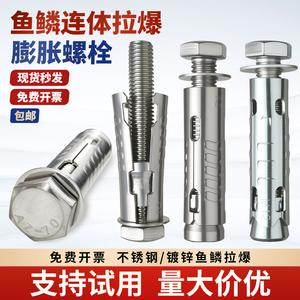 สกรูขยายเกล็ดปลาสแตนเลส M12x80 สำหรับโรงเรือนพลังงานแสงอาทิตย์แบบชิ้นเดียว - Product Image 3