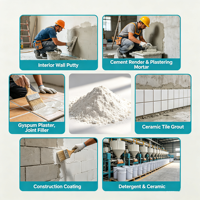 Poudre de CMC-Na, Carboxyméthylcellulose sodique, CMC, Carboxyméthylcellulose sodique pour pack de glace, 200 grammes, échantillon gratuit