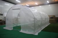 Serre de jardin moderne en film PE écologique, facilement assemblable pour la culture hydroponique à domicile, fabriquée à partir de matériaux naturels résistants à la pression