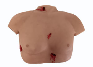 Modelo de Disección Forense de Tórax y Abdomen, para Educación Médica Legal y Ambiental, de Silicona Suave, Tamaño Real, Detallado, DR - Product Image 4
