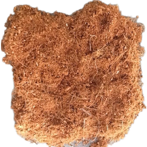 Cocopeat Dừa Than bùn khối 5kg nén/không nén xơ dừa pith bột cho nhà máy phát triển ms. Mira của sự lựa chọn - Product Image 1