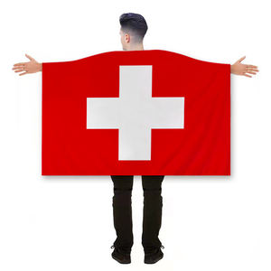Drapeau de l'équipe de football <span class=keywords><strong>suisse</strong></span> 3*5 pieds, drapeaux suisses pour le corps, 48 équipes, drapeau à main, extérieur, housse de <span class=keywords><strong>voiture</strong></span> <span class=keywords><strong>suisse</strong></span> - Product Image 5