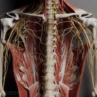 Meja Pembedahan Virtual 3D Anatomix HD (Berbahan Logam, Bertenaga Listrik) untuk Pengajaran Anatomi Interaktif dan Pendidikan Kedokteran