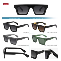 Lunettes de soleil tendance Gafas, lunettes rétro carrées, lunettes de soleil en acétate de luxe, lunettes de soleil vintage à double pont, lunettes de soleil polarisées irrégulières pour femmes