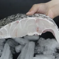 중국에서 만든 우수한 품질 Filleting 칼 Tilapia 물고기 필렛