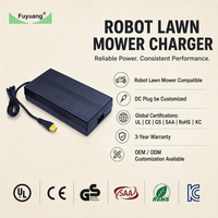 Cargador de Batería de Litio de 48V de Alta Calidad con Certificación CE GS SAA, Cargador de Batería de Iones de Litio de 54.6V 5A para Robot Cortacésped