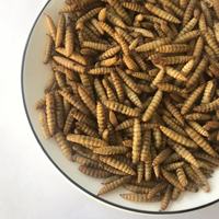 Soldat noir larves de mouches BSFL asticot séché alimentation animale vers comestibles aliments pour animaux de compagnie alimentation de volaille