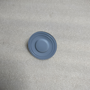 L0301100-THY パルセーファイダーダイヤフラム 1.250インチ <span class=keywords><strong>PULSAtron</strong></span>ポンプヘッドサイズ用 - Product Image 1