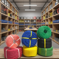 Cuerda de PE Trenzada de 12 mm a Precio Económico, Rollo de 100 m, Cuerda de Plástico Trenzada Multiusos Resistente para Agricultura y Uso en Exteriores
