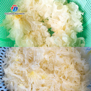 ماكينة تقطيع البصل والفلفل الأخضر والخضروات الورقية الخضراء ، ماكينة تقطيع الملفوف ، ماكينة تقطيع البطاطس والثوم - Product Image 5