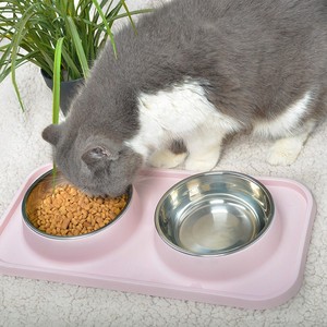 Nuevo Comedero Doble Antideslizante de Plástico y Acero Inoxidable para Gatos - Product Image 3