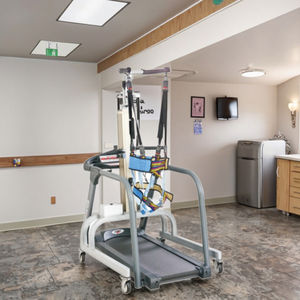 Dispositifs de levage de patients portables médicaux, fauteuil roulant, élingue, personnes âgées, handicapées, entraîneur de marche réduisant le poids - Product Image 1