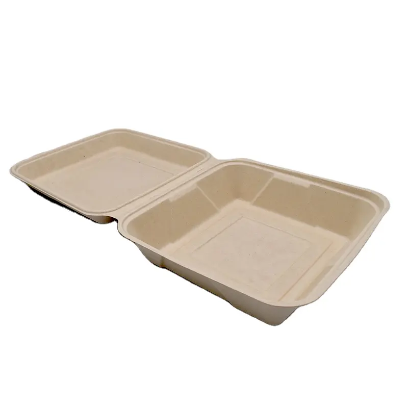 Recipientes de papel biodegradável para comida, conchas de conchas de moluscos, bagaço, de 10 polegadas, único, com três compartimentos