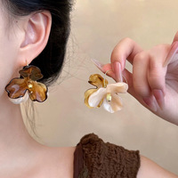 Boucles d'oreilles asymétriques en résine acrylique Lucite œil de tigre, style Maillard vintage, personnalisées, polyvalentes, luxe léger, cadeau