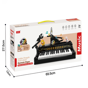 MILI débutant infantile électronique Piano Microphone petit orgue jouet pour bébé garçons filles PC matériel lumière apprentissage à piles - Product Image 6