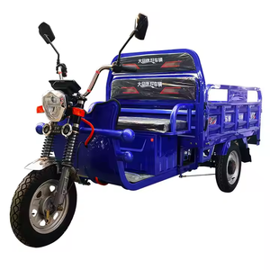 Triciclo elettrico a 3 ruote per moto da carico per granella e camion per gelati elettrico per camion Drumper Cargo componente del motore - Product Image 2