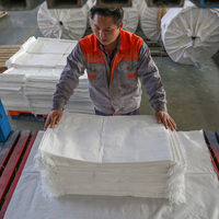 Sac en Polypropylène (PP) Tissé Stratifié Imperméable pour Riz, Autres Matières Plastiques, Impression Héliogravure, Ciment, Engrais, Aliments pour Bétail, Farine
