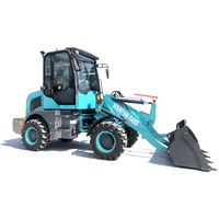 800kg Nennlast Radlader Anpassbare Farbe mit Hochwertigen Spezifikationen