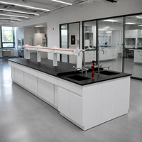 Table de laboratoire moderne en métal durable avec évier et armoire, 4 tiroirs, revêtement en poudre époxy, poste de travail en acier inoxydable pour laboratoire de chimie