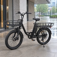 Vélo utilitaire électrique résistant à l'eau et aux intempéries avec protection IP65 pour les concessionnaires urbains