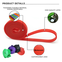Equipo de Ejercicio para Gimnasio en Casa, Juego de Bandas Elásticas para Ejercicios, Bandas de Resistencia de Goma para Entrenamiento Deportivo y Fitness
