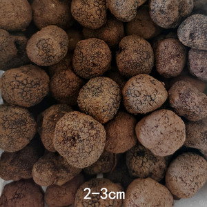 Tartufo Nero di Lusso 100% Naturale dello Yunnan all'Ingrosso in Vendita - Product Image 2