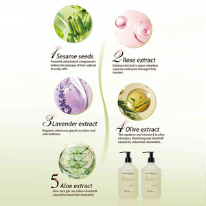 Shampoo capillaire biologique végétalien sans sulfate, nourrissant et hydratant <span class=keywords><strong>à</strong></span> <span class=keywords><strong>l</strong></span>'<span class=keywords><strong>huile</strong></span> d'argan et <span class=keywords><strong>à</strong></span> la kératine, <span class=keywords><strong>à</strong></span> la rose et <span class=keywords><strong>à</strong></span> <span class=keywords><strong>l</strong></span>'aloe vera, longue durée, marque privée - Product Image 5