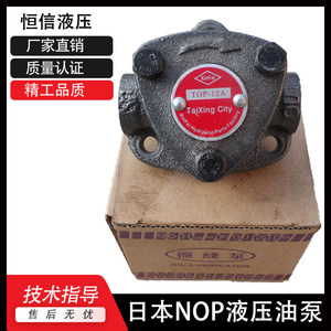 Pompe à engrenages Nop Gear Pump Top 10A, pompe hydraulique électrique en fonte, type rotatif - Product Image 3